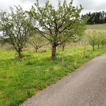 Erlebnis-bauernhof Heimatliebe Apartamento Oberkirch (Baden)