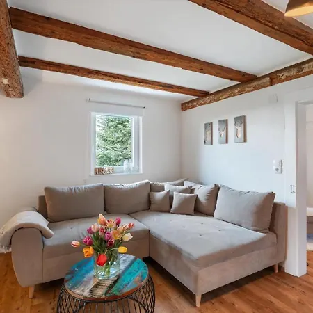 Erlebnis-bauernhof Heimatliebe Apartamento Oberkirch (Baden)